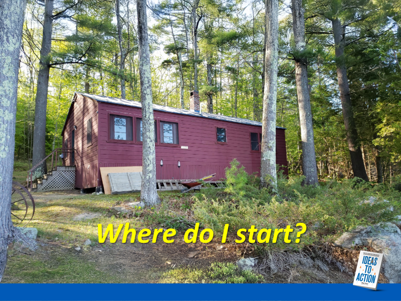 Lakeside cabin renovation challenge as a metaphor for overwhelming change initiatives.