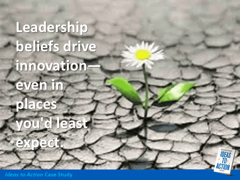 Leadership beliefs drive innovation—A flower emerging from cracked earth symbolizes unexpected transformation in government